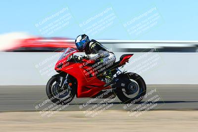 media/Jan-09-2022-SoCal Trackdays (Sun) [[2b1fec8404]]/Front Straight Speed Shots (1pm)/